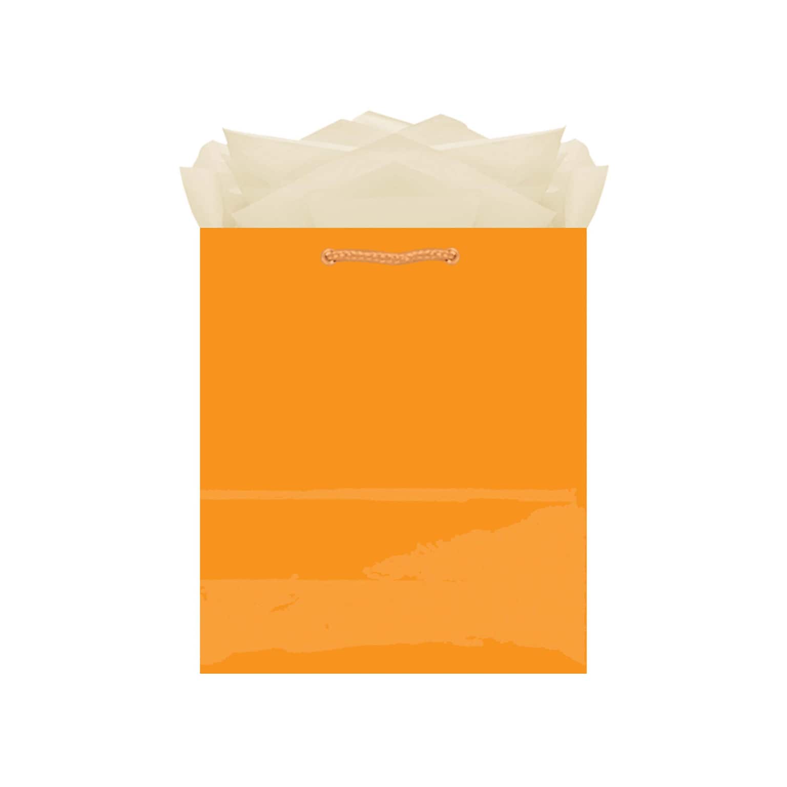 Amscan Glossy Paper Gift Bag, 9.5 x 8, Orange Peel, 10 Bags/Pack (47065.05)