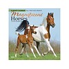 2022 BrownTrout Academic 12 x 12 Monthly Calendar, Magnificent Horses, Multicolor (9781975445102)