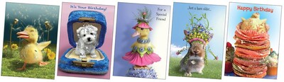 RSVP 10-Piece Birthday Card Assortment by Chiara (GCAM7213)