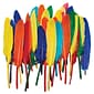 Creativity Street® Duck Quills, Assorted Colors, 14 g Per Pack, 6 Packs (CK-4505-6)