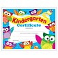 TREND 8.5" x 11" Kindergarten Certificate Owl-Stars!® (T-17009-6)