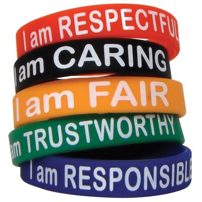 Teacher Created Resources® Character Traits Wristband, Assorted, 10 Per Pack, 6 Packs (TCR6569-6)
