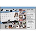 2018 Sellers Publishing, Inc. 17 x 11 Grumpy Cat® Desk Pad Planner Calendar