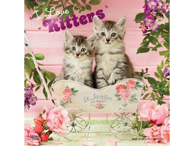 2022 BrownTrout 12 x 12 Monthly Calendar, I Love Kittens, Multicolor (9781975438951)