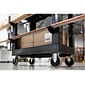 Luxor 2-Shelf Polyethylene Mobile Utility Cart with Swivel Wheels, Black (EC21-NDUST-B)
