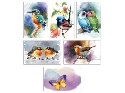 Better Office Cards with Envelopes, 4" x 6", Birds & Butterflies, 50/Pack (64564-50PK)