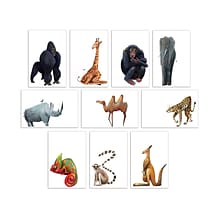 Better Office Cards with Envelopes, 4 x 6, Wild Animals, 100/Pack (64554-100PK)