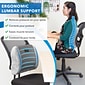 Mount-It! ErgoActive Lumbar Support Cushion with Straps, Breathable Mesh Cover, Gray (MI-1013)