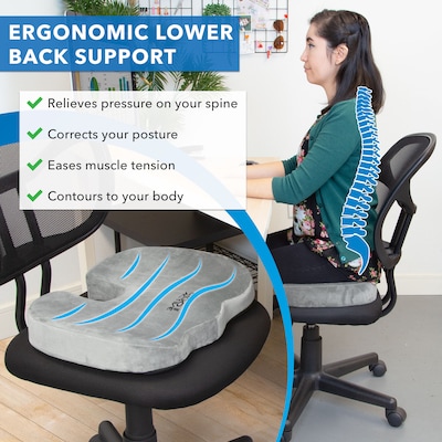 ERGONOMIC INNOVATIONS Office Chair Seat Cushion for Tailbone Pain Relief &  Lumbar Support Pillow for Office Chair with Dual Adjustable Straps, Lower