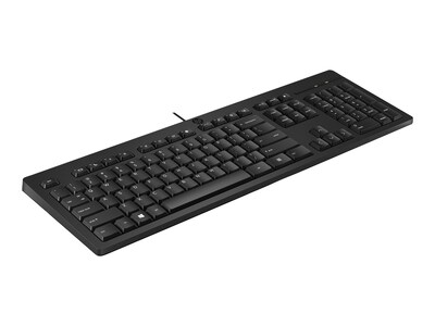 HP 125 Keyboard, Black (266C9AA#ABA)