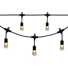 Enbrighten Vintage LED Outdoor Café Lights, Black (35631)