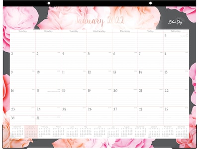 2022 Blue Sky Joselyn 17 x 22 Monthly Desk Pad Calendar, Multicolor (102714-22)
