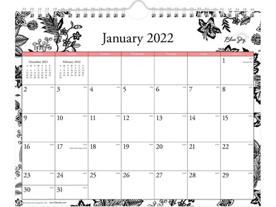 2022 Blue Sky Analeis 8.75 x 11 Monthly Wall Calendar, Black/White (100028-22)