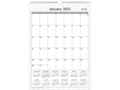 2022 Blue Sky Enterprise 17 x 12 Monthly Wall Calendar, White/Gray (117373-22)