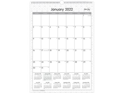 2022 Blue Sky Enterprise 17 x 12 Monthly Wall Calendar, White/Gray (117373-22)
