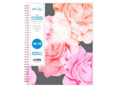 2022 Blue Sky Joselyn 8.5 x 11 Weekly & Monthly Planner, Multicolor (110394-22)