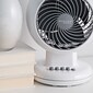 IRIS® Woozoo Compact Oscillating Circulating Fan, White (586794)