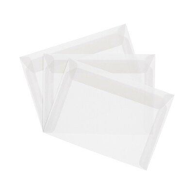 JAM Paper® 10 x 13 Booklet Envelopes, Clear Translucent Vellum, 10/pack (900840420D)