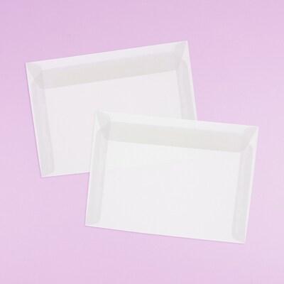 JAM Paper® 10 x 13 Booklet Envelopes, Clear Translucent Vellum, 10/pack (900840420D)