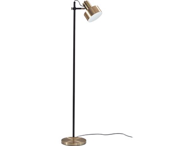 Adesso Clayton 56.5" Matte Black/Antique Brass Floor Lamp with Cylindrical Shade (3587-01)