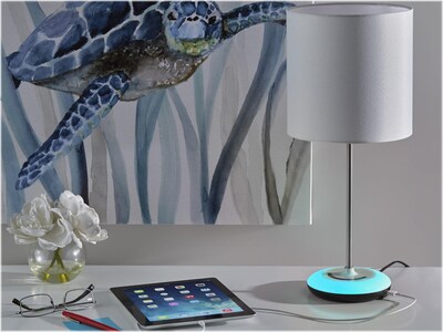Simplee Adesso Mia Color Changing Interchangeable Table Lamp, White/Brushed Steel (SL4905-02)