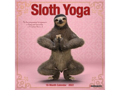 2022 Willow Creek Sloth Yoga 7 x 7 Monthly Mini Wall Calendar (20999)