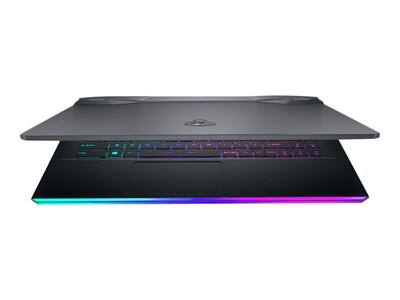 MSI GE66 11UG 271 Raider 15.6" Laptop, Intel Core i9, 16GB Memory, 1TB SSD, Windows 10 (GE6611271)
