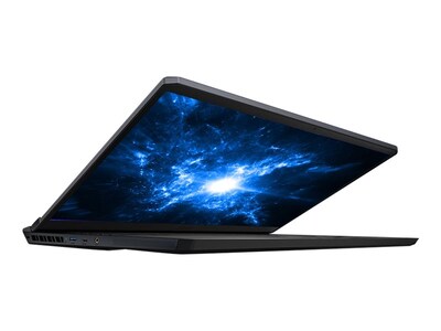 MSI GE66 11UG 271 Raider 15.6" Laptop, Intel Core i9, 16GB Memory, 1TB SSD, Windows 10 (GE6611271)
