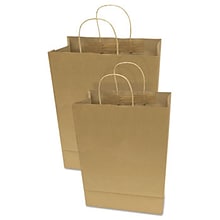 Premium Shopping Bag, 12 x 6.5 x 17, Brown Kraft, 50/Box