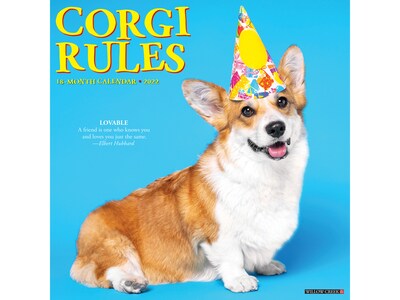2022 Willow Creek Corgi Rules 12 x 12 Monthly Wall Calendar (21224)