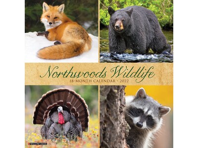 2022 Willow Creek Northwoods Wildlife 12 x 12 Monthly Wall Calendar (19061)