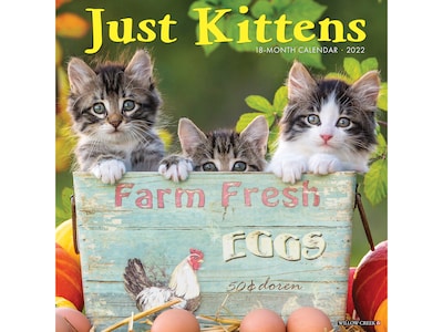 2022 Willow Creek Just Kittens 12 x 12 Monthly Wall Calendar (18576)