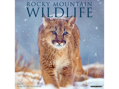 2022 Willow Creek Rocky Mountain Wildlife 12 x 12 Monthly Wall Calendar (19412)