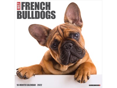 2022 Willow Creek Just French Bulldogs 12 x 12 Monthly Wall Calendar (17968)
