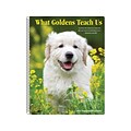 Willow Creek What Goldens Teach Us Paper Journal, 6.5 x 8.5, Multicolor (21453)