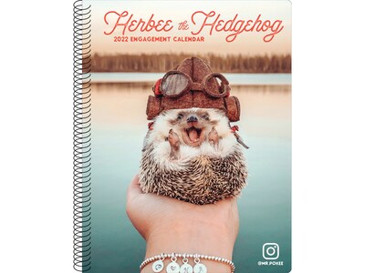 Willow Creek Herbee the Hedgehog Paper Journal, 6.5 x 8.5, Multicolor (21422)
