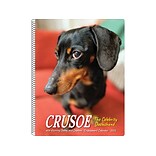 Willow Creek Crusoe the Celebrity Dachshund Paper Journal, 6.5 x 8.5, Multicolor (21408)