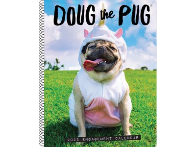 Willow Creek Doug the Pug Paper Journal, 6.5 x 8.5, Multicolor (21415)