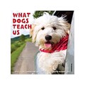 2022 Willow Creek What Dogs Teach Us 7 x 7 Monthly Wall Calendar (21040)