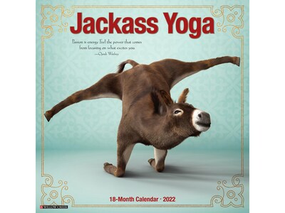 2022 Willow Creek Jackass Yoga 12 x 12 Monthly Wall Calendar (18545)