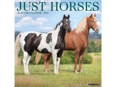 2022 Willow Creek Just Horses 12 x 12 Monthly Wall Calendar (18378)