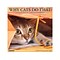 2022 Willow Creek Why Cats Do That 12 x 12 Monthly Wall Calendar (20135)