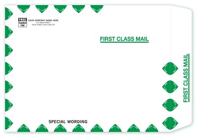 Custom Tyvek First Class Mailing Envelope, 1 Color Printing, 10 x 13, 250/Pack