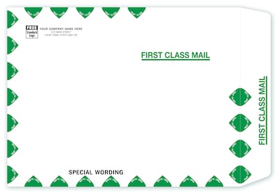 Custom Tyvek First Class Mailing Envelope, 1 Color Printing, 10 x 13, 250/Pack