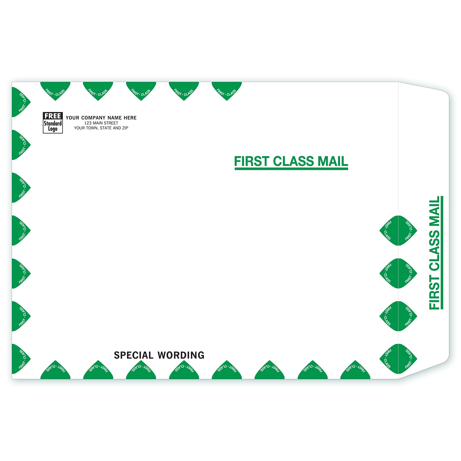 Custom Tyvek First Class Mailing Envelope, 1 Color Printing, 10 x 13, 250/Pack