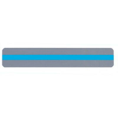 Ashley Productions® Sentence Strip Reading Guide, Blue, Grade K+ (ASH10851-2)