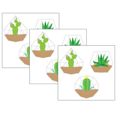 Creative Teaching Press Positively Plants Terrariums 6 Designer Cut-Outs, 36 Per Pack, 3 Packs (CTP