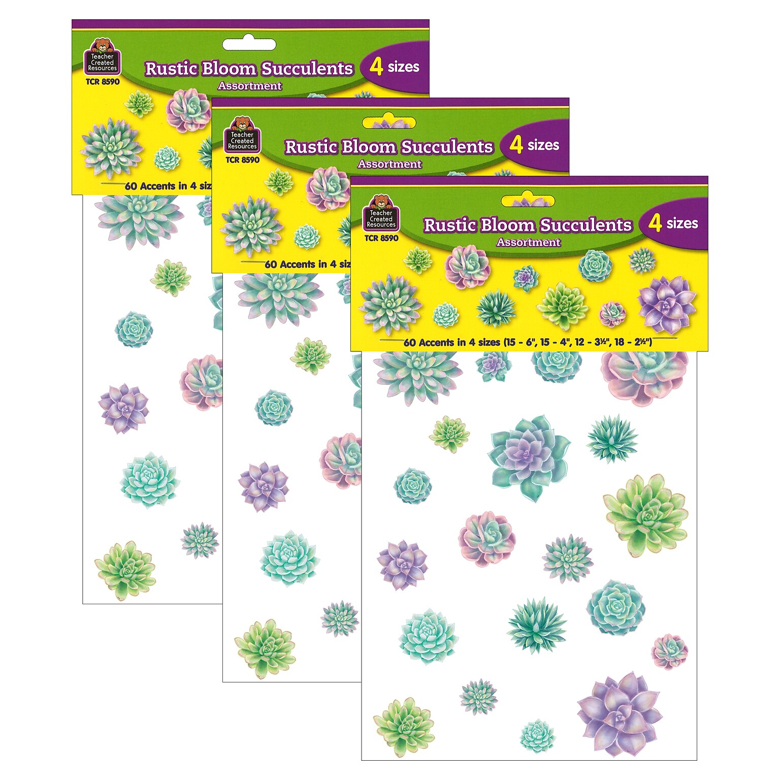 Teacher Created Resources Rustic Bloom Succulents Accents, Assorted Sizes, 60 Per Pack, 3 Packs (TCR8590-3)