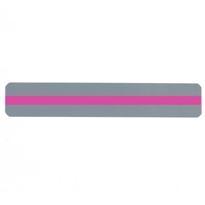 Ashley Productions® Sentence Strip Reading Guide, Pink, Grade K+ (ASH10803-24)