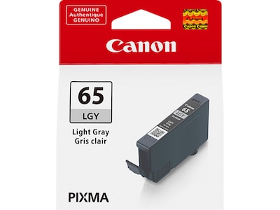 Canon 65 LGY Light Gray Standard Yield Ink Cartridge (4222C002)